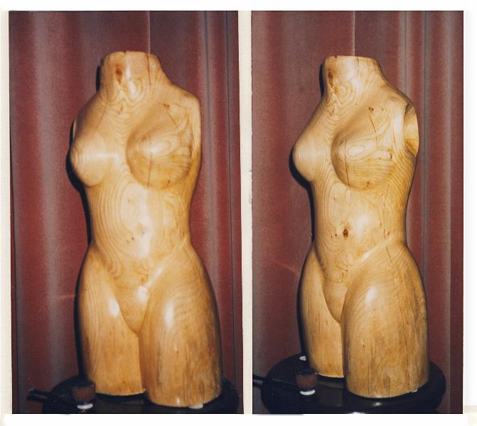 Torso.jpg - "Torso" - by Colin Etherington Elm - 40" by 13"