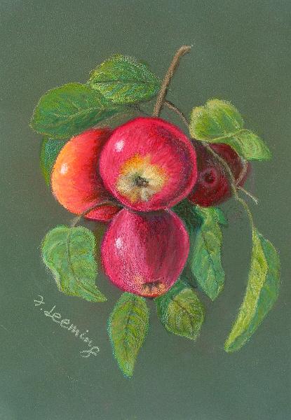 Apples.jpg