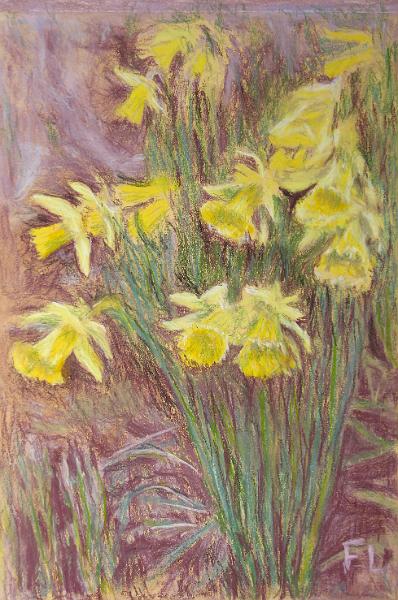 Daffodils.jpg