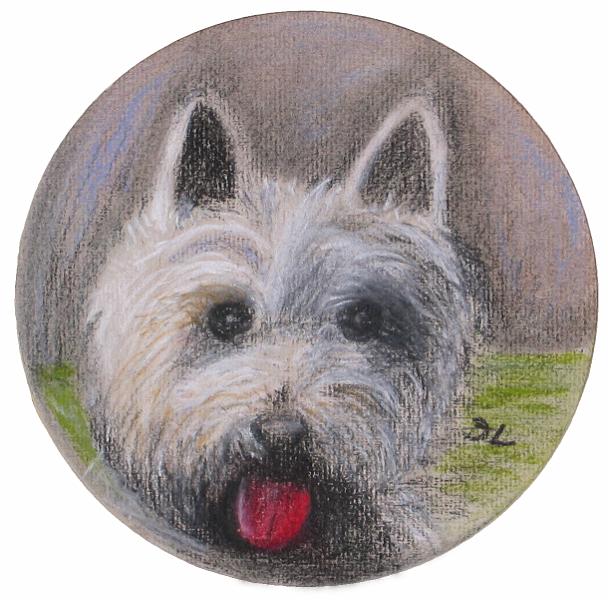 Scottie.jpg