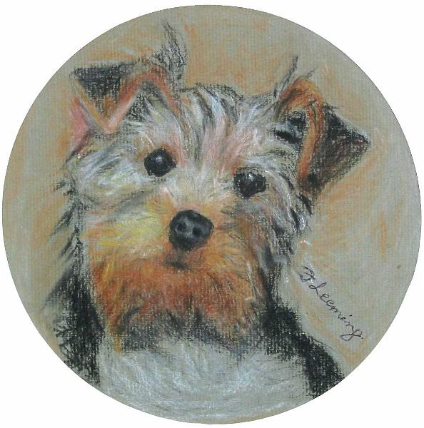 Terrier.jpg