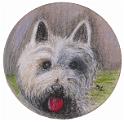 Scottie