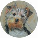 Terrier