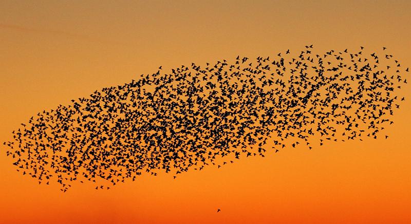 6722442143_53de38d445_b.jpg - "There's al'as one!" - by Andy Holden