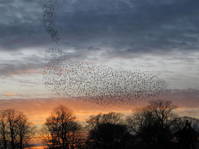 ComeAndJoin.JPG - "Joining Together" - by Elizabeth Robertshaw