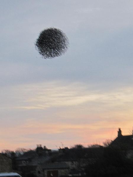 TightBall.JPG - "A Golf Ball Would be Good" - by Elizabeth Robertshaw