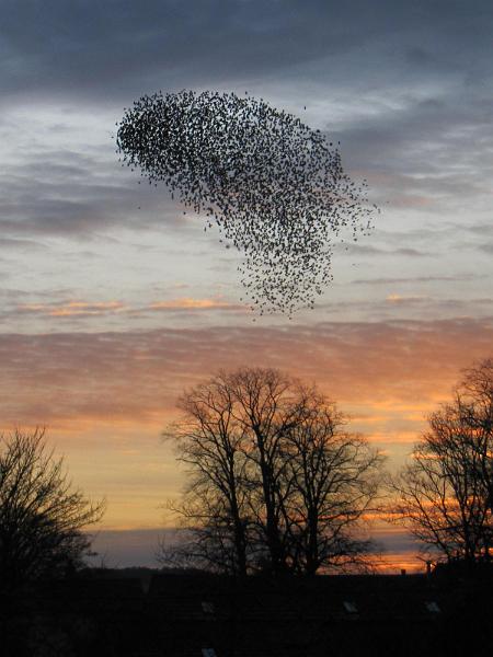 WhereToNow.JPG - "OK - Where to Now" - by Elizabeth Robertshaw