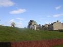sheep&lambs2