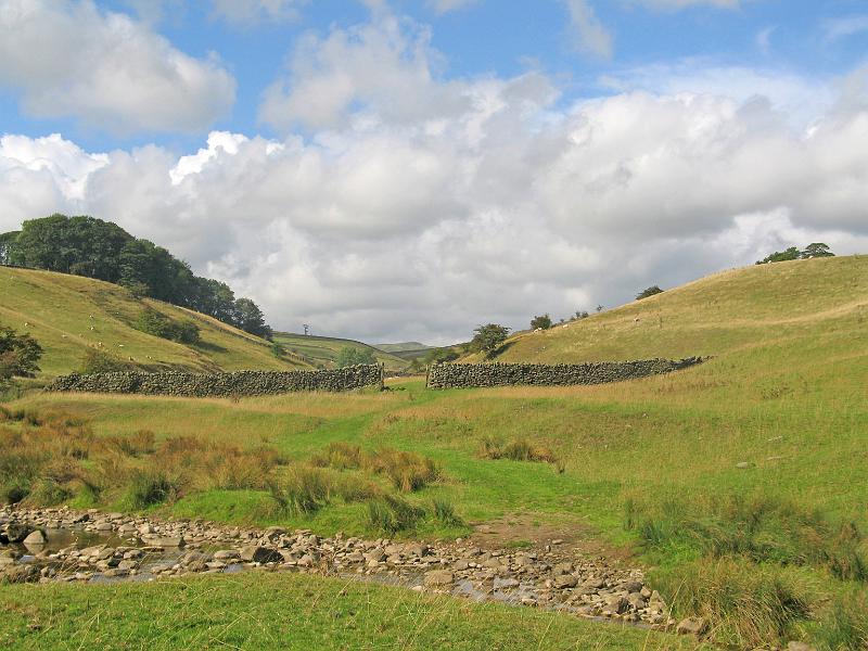 LP-Beck-valley_9366.jpg - "Long Preston Beck"  - by Gavin Dewar. View from side of Scalehaw Bridge.