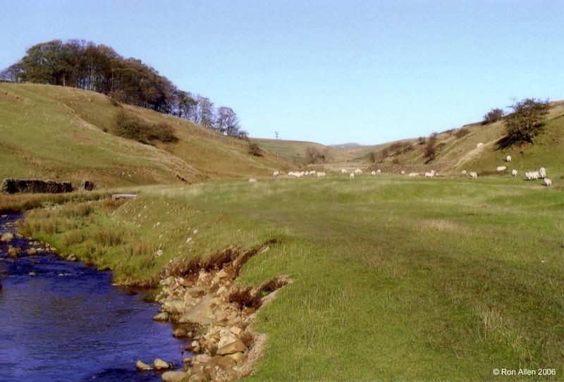 LP-Beck.jpg - "Long Preston Beck"  - by Ron Allen