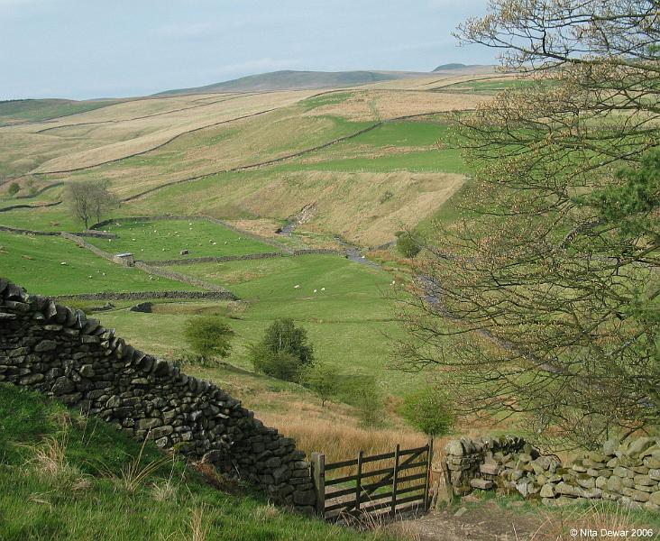 Valley.jpg - "The Valley"  - by Nita Dewar. View of Long Preston Beck, upper valley.