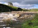 Long-Preston-Beck-9624