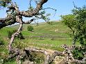 Upper-LP-Beck-Valley