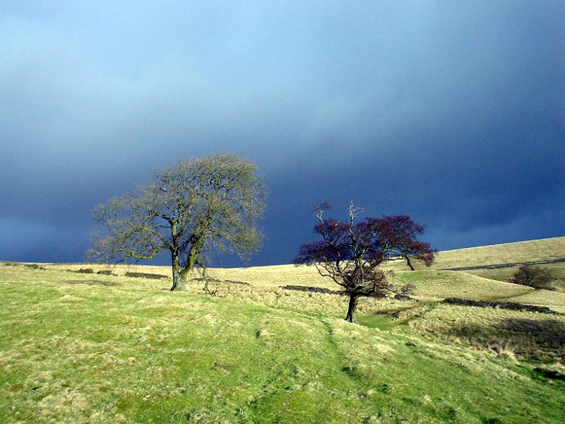0501002.jpg - "Bookilber Beck" - by John Sellers Sun and dark clouds above  Bookilber Beck