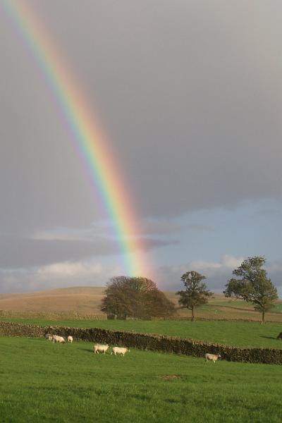 Rainbow.JPG - "Rainbow"  - by Ron Allen