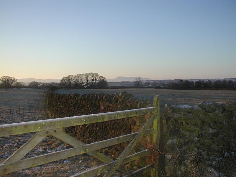 gate_view.jpg - "Over the Gate"  - by John Rodgers. View from above Long Preston, with Pendle in the distance.