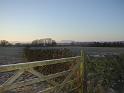 gate_view