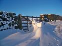 snow_drift