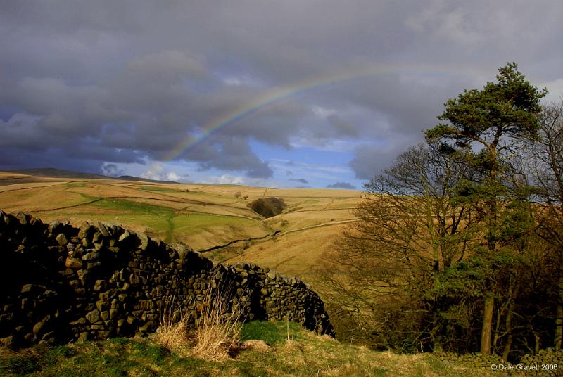 Mary.jpg - "Newton Moor"   - by Dale Gravett.
