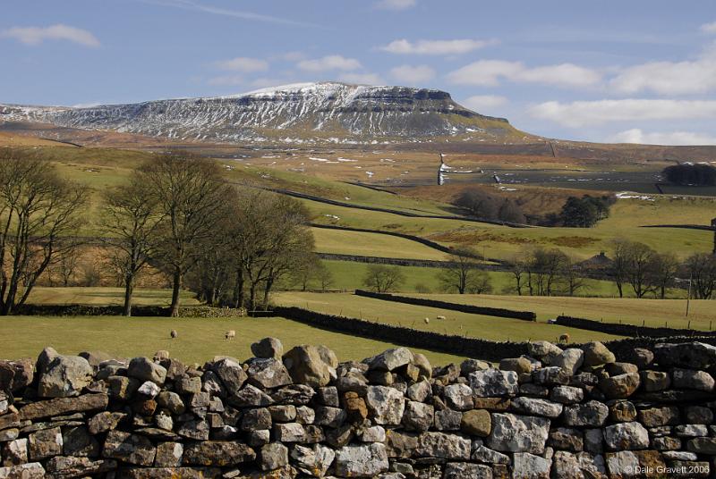 Pen-Y-Ghent-2.jpg - "Pen-Y-Gent"  - by Dale Gravett.