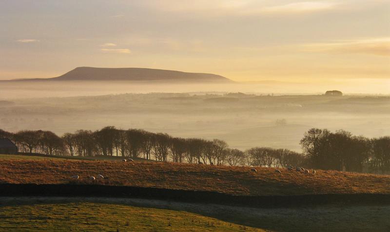Pendle_2373.jpg - "Pendle, in evening light"  - by Gavin Dewar. Taken from above Long Preston.