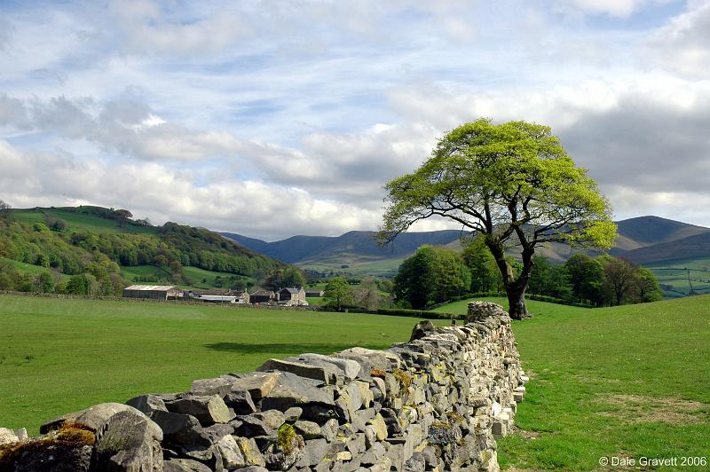 Yorkshire-and-Skye-105.jpg - "Dales Scene"  - by Dale Gravett.