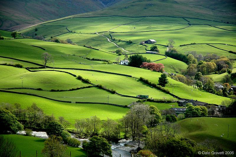 Yorkshire-and-Skye-110.jpg - "Light on the Dale"  - by Dale Gravett. Wharfedale, near Kettlewell.