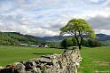 Yorkshire-and-Skye-105