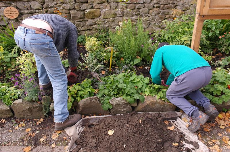 NB8.jpg -  "Just keep on digging, and mind the plants!!" 